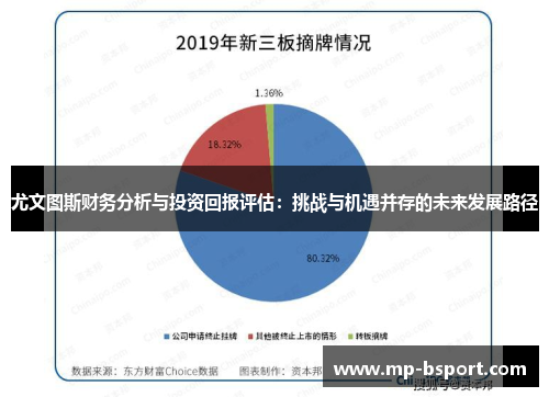 尤文图斯财务分析与投资回报评估：挑战与机遇并存的未来发展路径