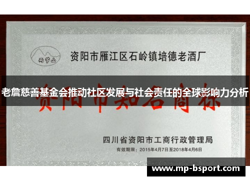 老詹慈善基金会推动社区发展与社会责任的全球影响力分析 老詹慈善基金会推动社区发展与社会责任的全球影响力分析