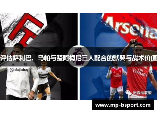 评估萨利巴、乌帕与楚阿梅尼三人配合的默契与战术价值