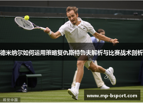 德米纳尔如何运用策略复仇斯特鲁夫解析与比赛战术剖析