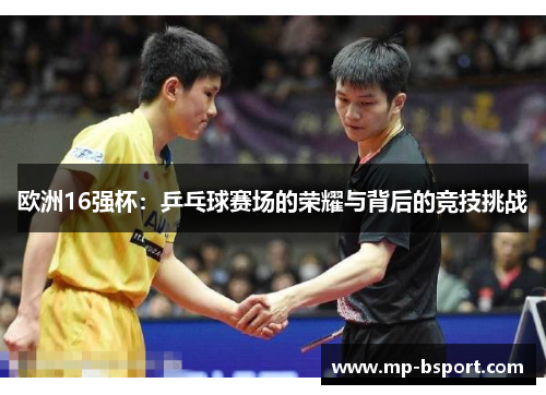 欧洲16强杯：乒乓球赛场的荣耀与背后的竞技挑战