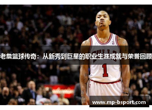 老詹篮球传奇：从新秀到巨星的职业生涯成就与荣誉回顾